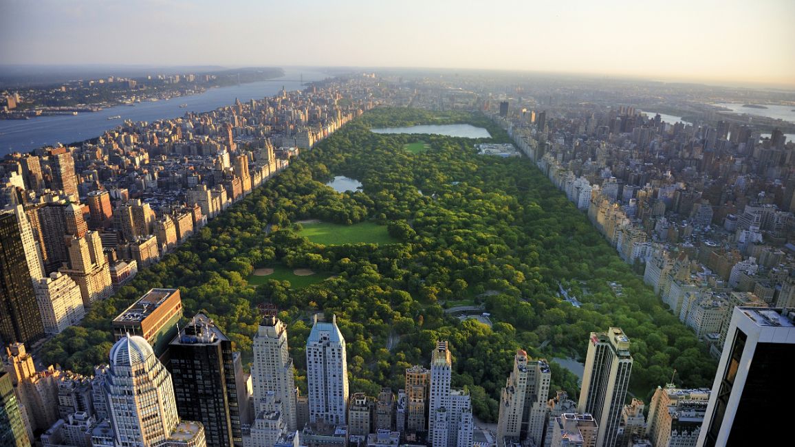 5 Must See Places in New York for Students | NST